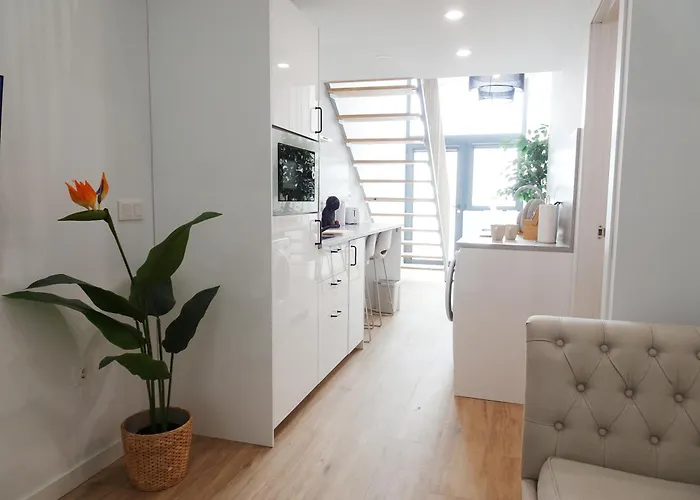 Loft M15 - Ground & Arena Connected Valencia